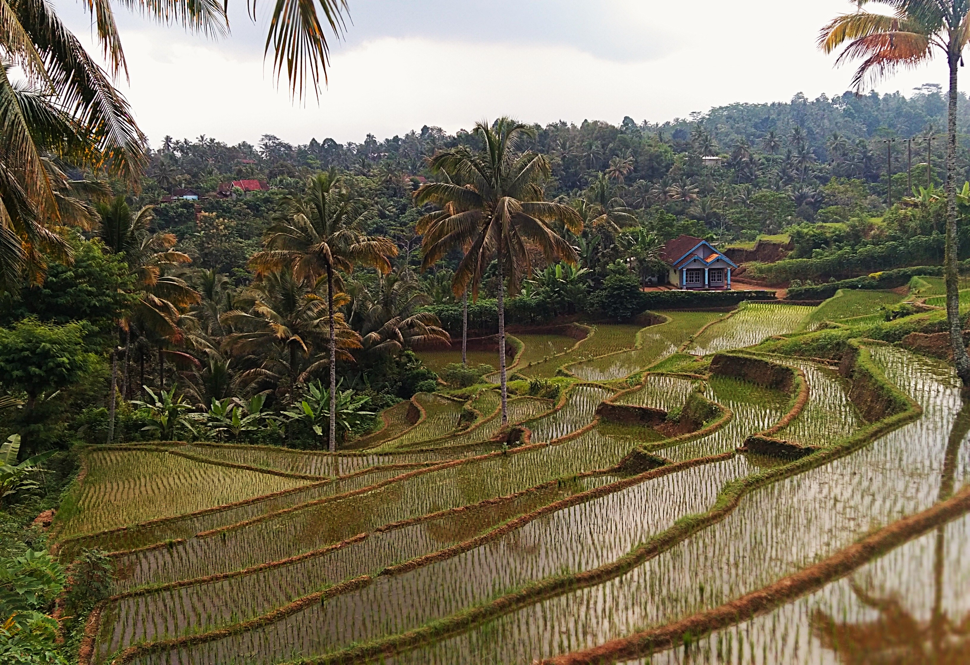 Blitar: A Resting Place for Weary Wanderers